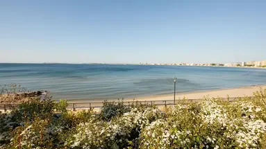 Alua Sunny Beach Resort & Spa (ex. Dreams Sunny Beach Resort & Spa)