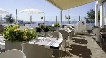 ALUASOUL PALMA (ADULTS ONLY 16+)