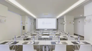 ALUASOUL PALMA (ADULTS ONLY 16+)