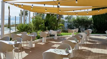 AluaSoul Palma