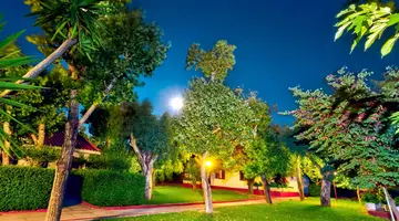 Alykes Park