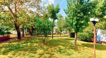 Alykes Park