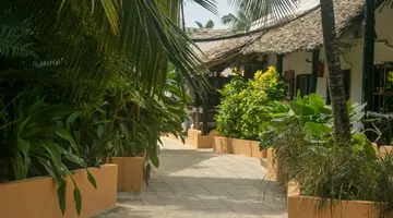 Amaan Beach Bungalows