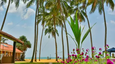 AMAGI BEACH RESORT