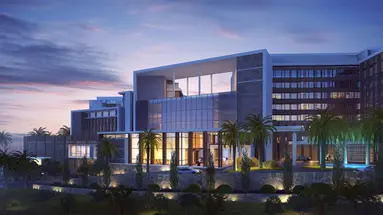 Amara