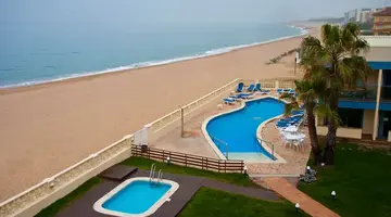 Amaraigua