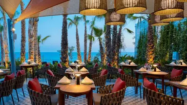 Amavi Hotel