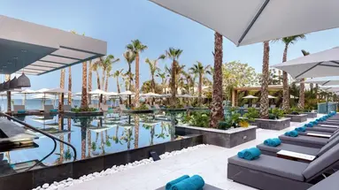 Amavi Hotel