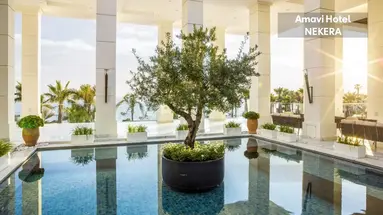 Amavi Hotel