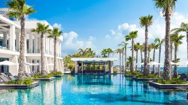 Amavi Hotel