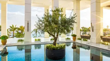 Amavi Hotel