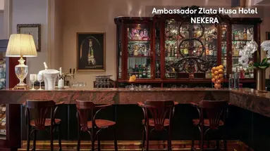 Ambassador Zlata Husa