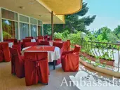 Ambassador