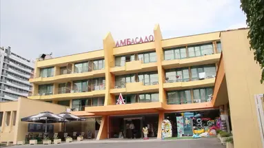 Ambassador