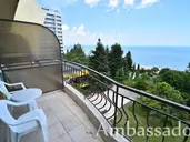 Ambassador