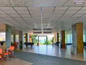 Ambassador