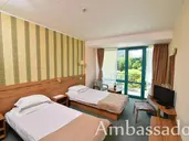 Ambassador