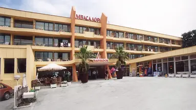 Ambassador