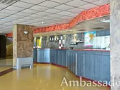 Ambassador