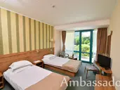 Ambassador
