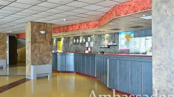 Ambassador