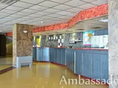 Ambassador