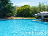 Ambassador