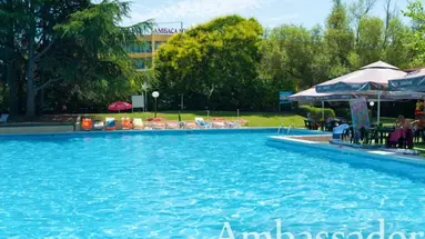 Ambassador
