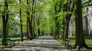 Amber Design Residence