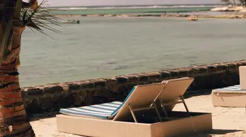 Ambre Mauritius