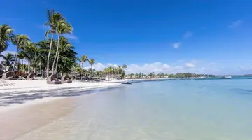 Ambre Mauritius