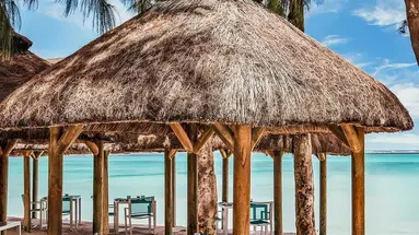 Ambre Mauritius
