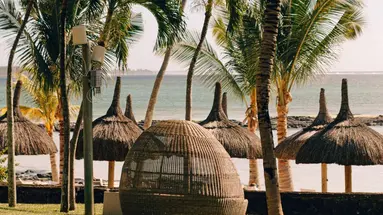 Ambre Mauritius