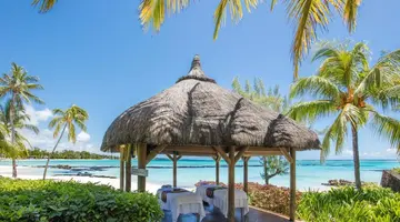 Ambre Mauritius