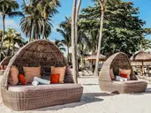 Ambre Mauritius