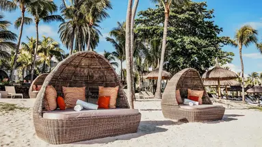 Ambre Mauritius