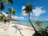 Ambre Mauritius