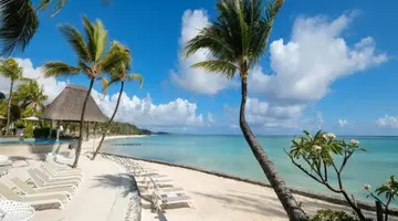 Ambre Mauritius