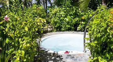 Ambre Mauritius