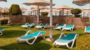 AMC ROYAL HOTEL