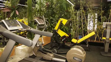 AMH Hotel