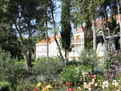 AMINESS CASA VELARIS