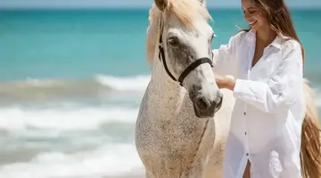 AMIRANDES GRECOTEL BOUTIQUE RESORT