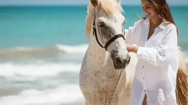 AMIRANDES GRECOTEL BOUTIQUE RESORT