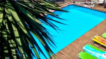 AMMON GARDEN