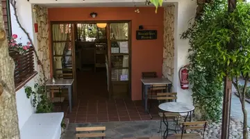 Ammon Garden