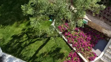 AMMON ZEUS HOTEL