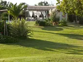 Ammos Naxos Exclusive Apartments & Spa