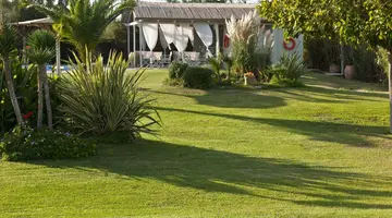 Ammos Naxos Exclusive Apartments & Spa