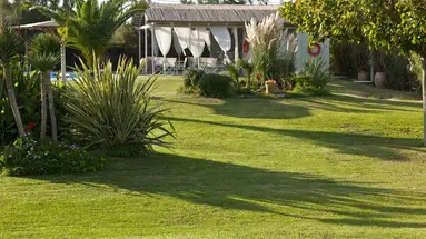 Ammos Naxos Exclusive Apartments & Spa